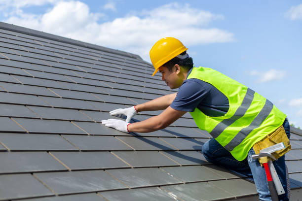 Fast & Reliable Emergency Roof Repairs in Dover, FL