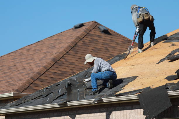 Best Gutter Installation and Repair  in Dover, FL