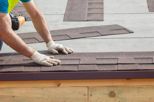 Best Skylight Installation and Repair  in Dover, FL