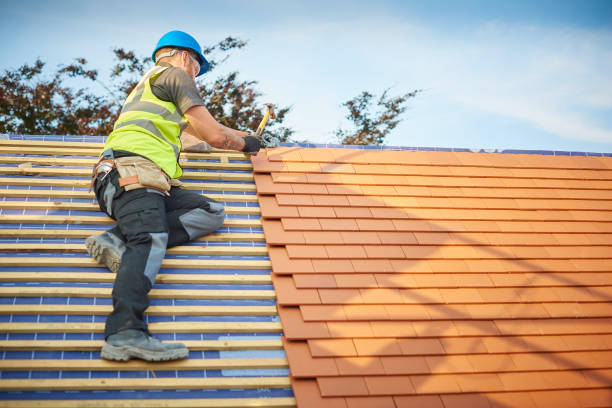 Best Roof Maintenance and Cleaning  in Dover, FL