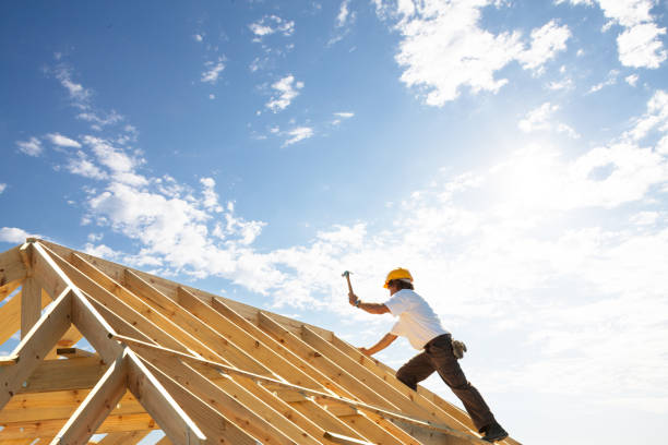 Best Chimney Flashing Repair  in Dover, FL