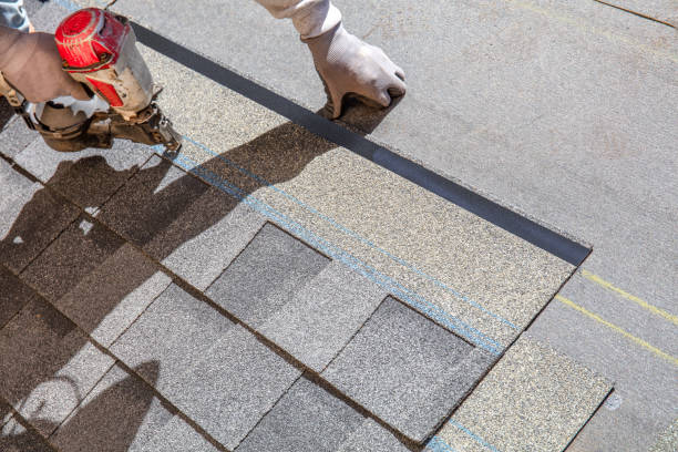 Best Roof Installation  in Dover, FL